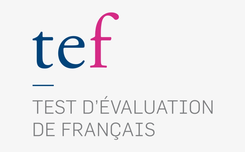 Created In 1998 By The Paris Ile De France Cci, The - Calligraphy, transparent png download