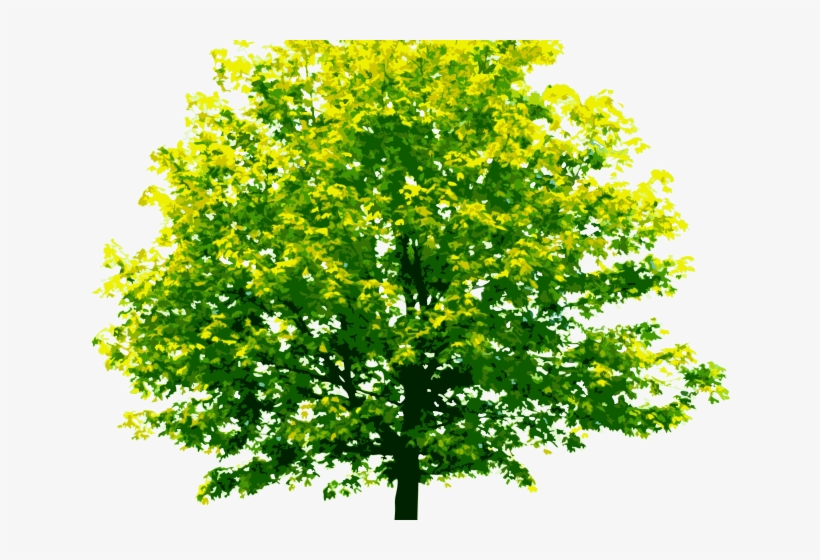 Forest Clipart Transparent Background - Transparent Background Tree Png, transparent png download