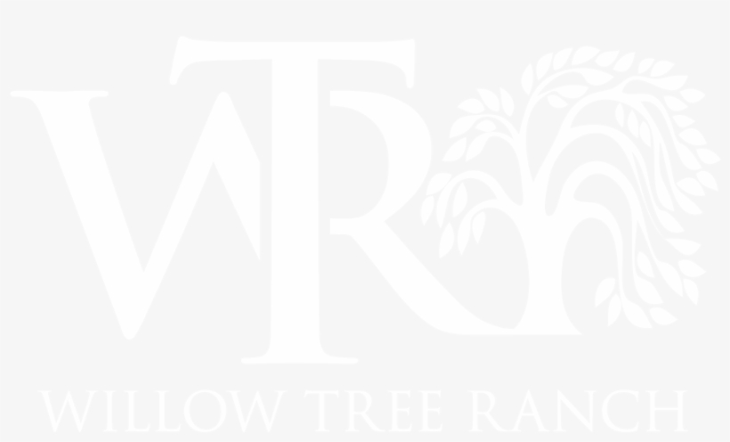 Facilitating The Physical, Social, Mental And Spiritual - Graphic Design, transparent png download