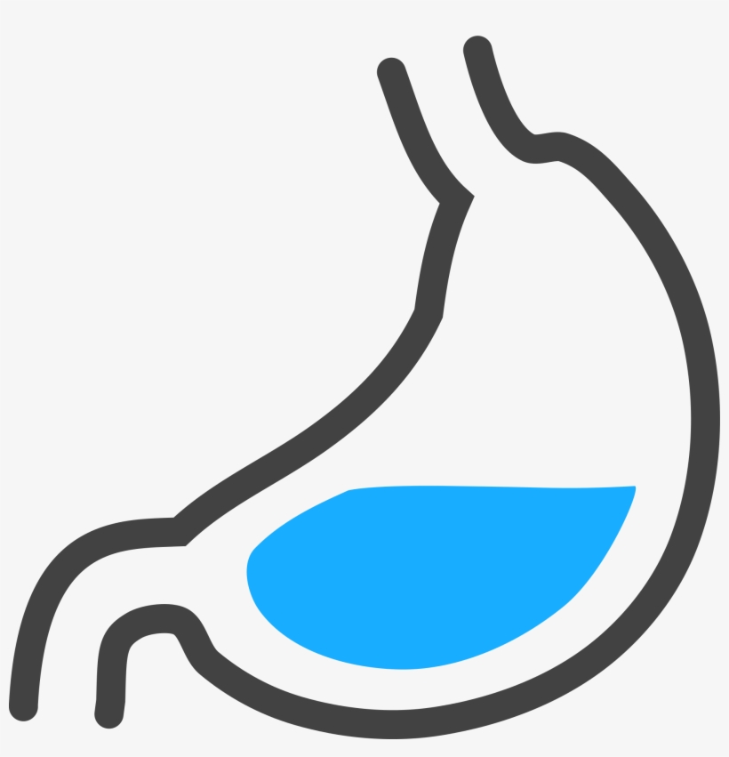 Png Images Stomach (id 21722) - Transparent Stomach Acid Clipart, transparent png download