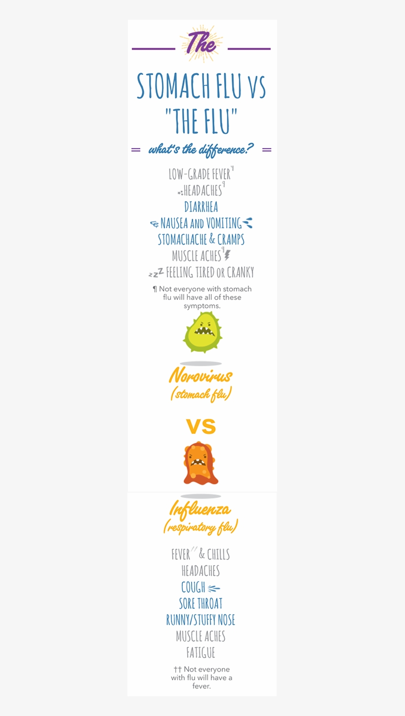 The Difference Between Stomach Flu And The Difference Baby Stomach