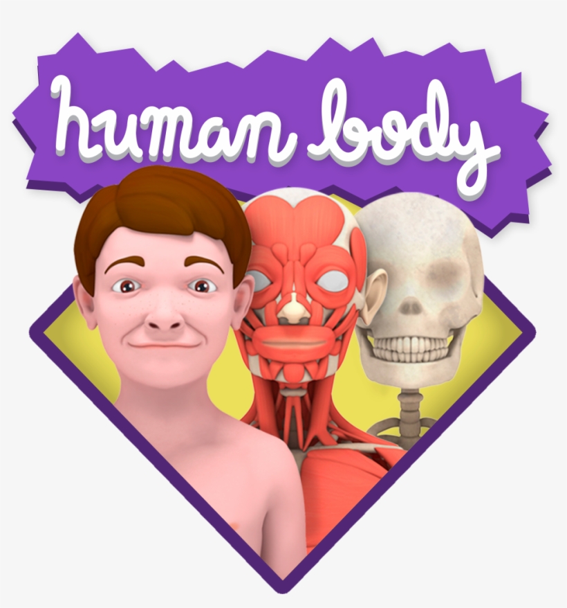 Poster, transparent png download