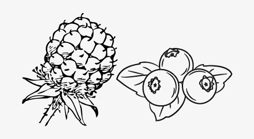 Pick Your Own Raspberries And Blueberries From The - Blackberry Clip Art, transparent png download