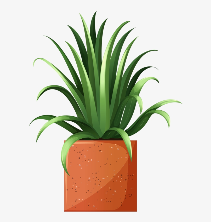 Clip Art Of Beautiful Plants For The Spring Garden - House Plant Clip Art, transparent png download