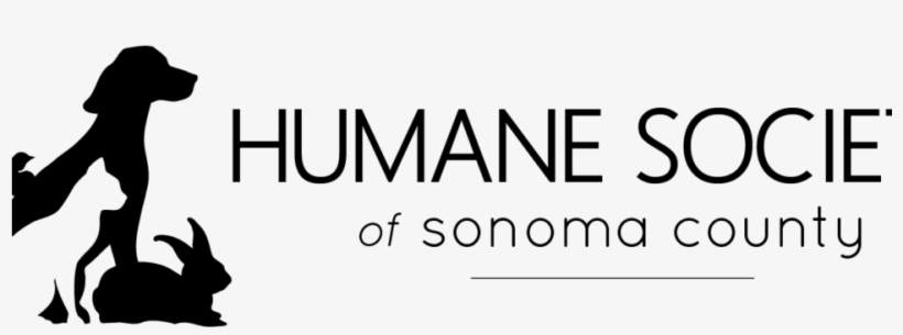 New Logo Horizontal Plain 1 - Human Action, transparent png download