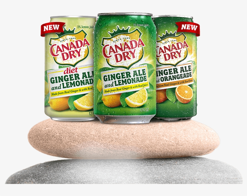 The Trio Of - Canada Dry, transparent png download