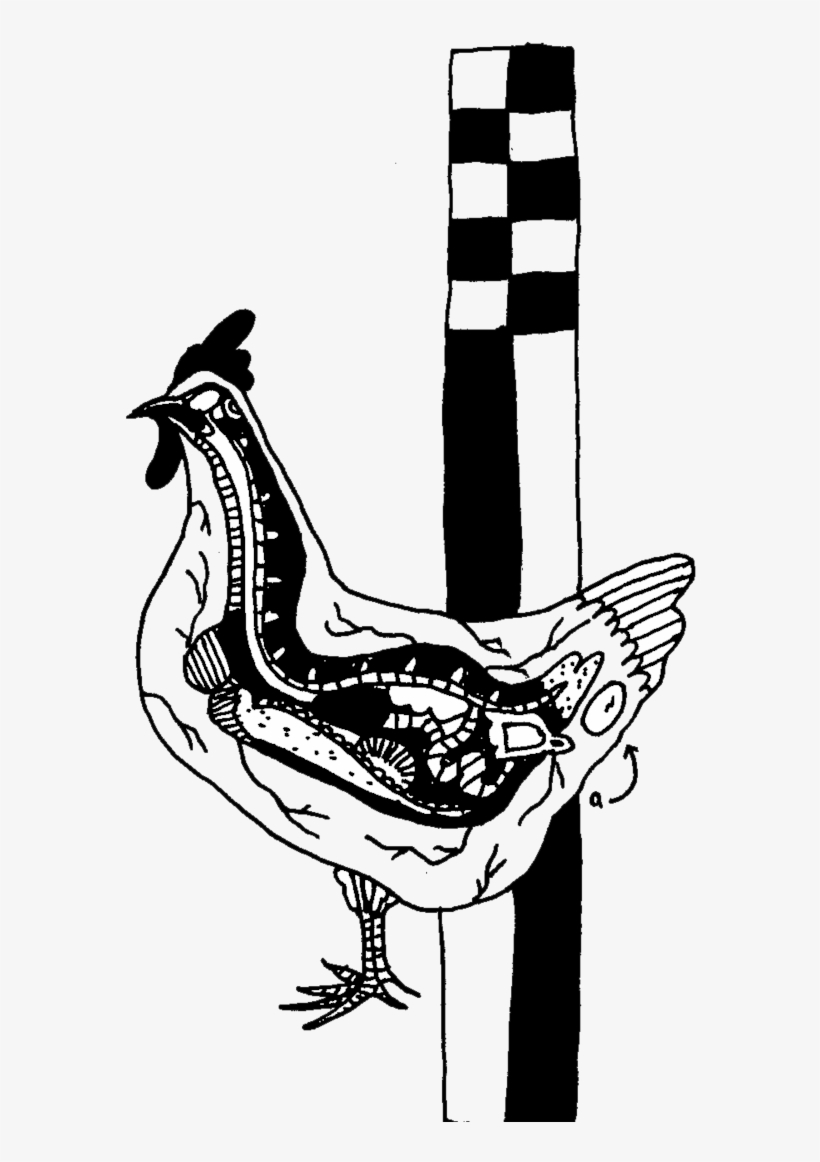 Chick - Rooster, transparent png download