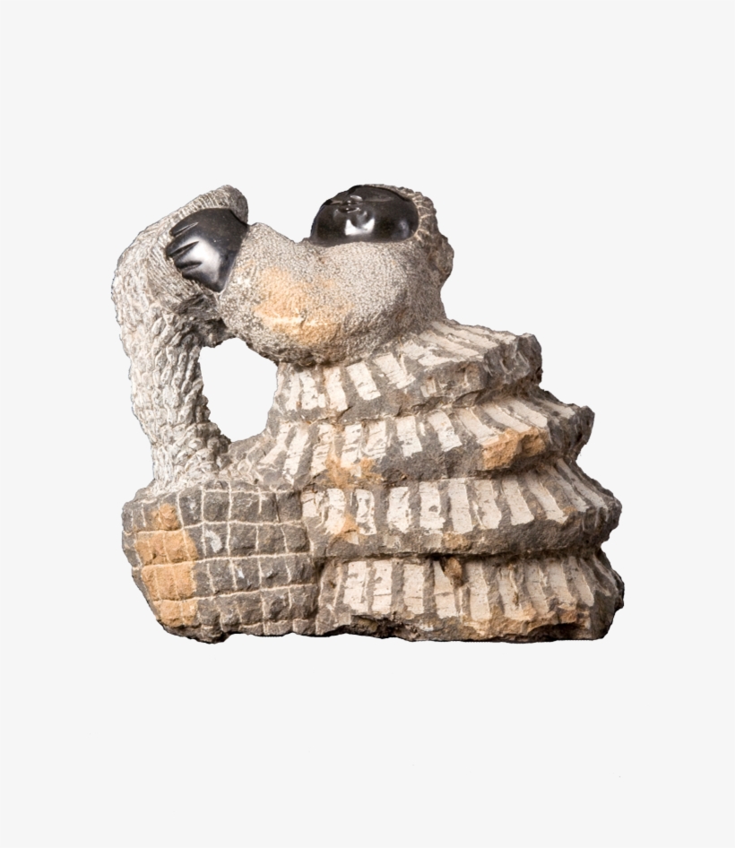 Dp133 - Cm - Groundhog, transparent png download