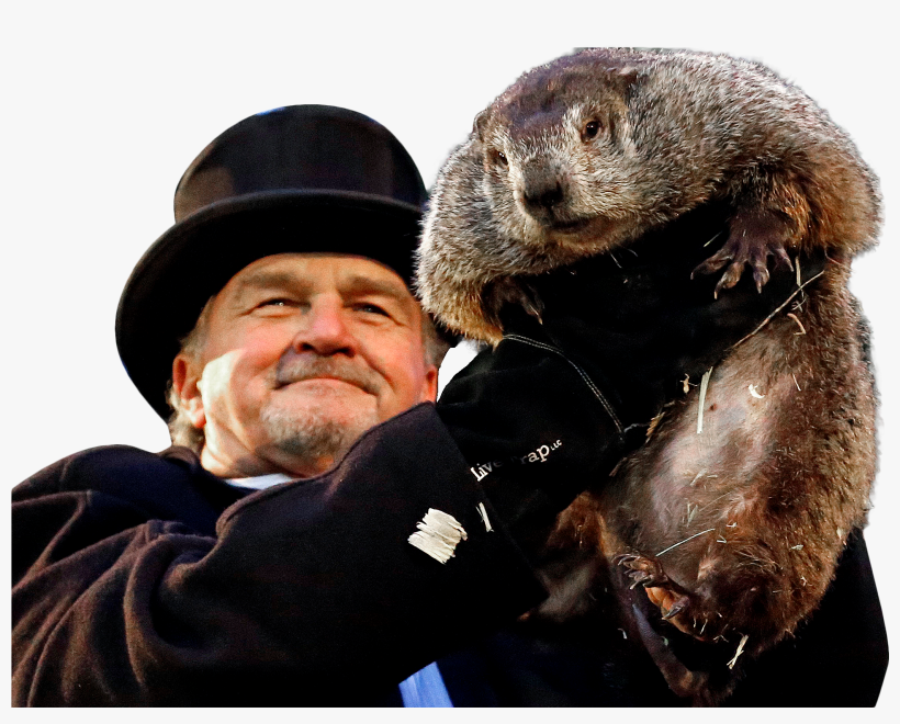 Punxsutawney Phil Groundhog, transparent png download