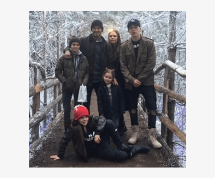 Family's David Beckham, transparent png download