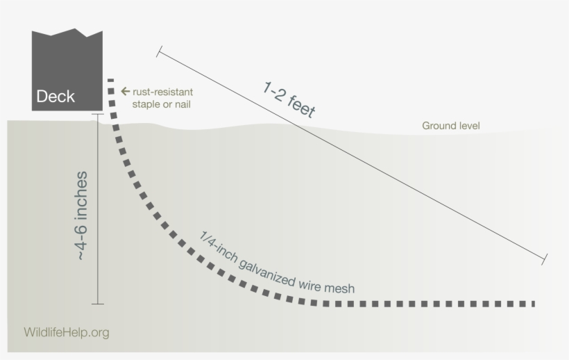 Photo Accompanying Step - Diagram, transparent png download