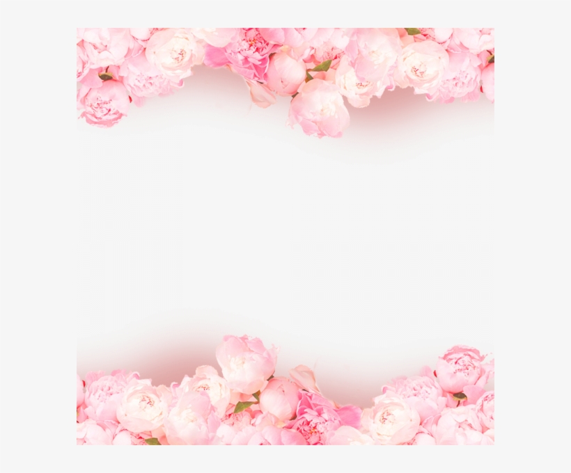 Hoa Hồng Ngày Valentine Valentine Rose - Valentine's Day, transparent png download