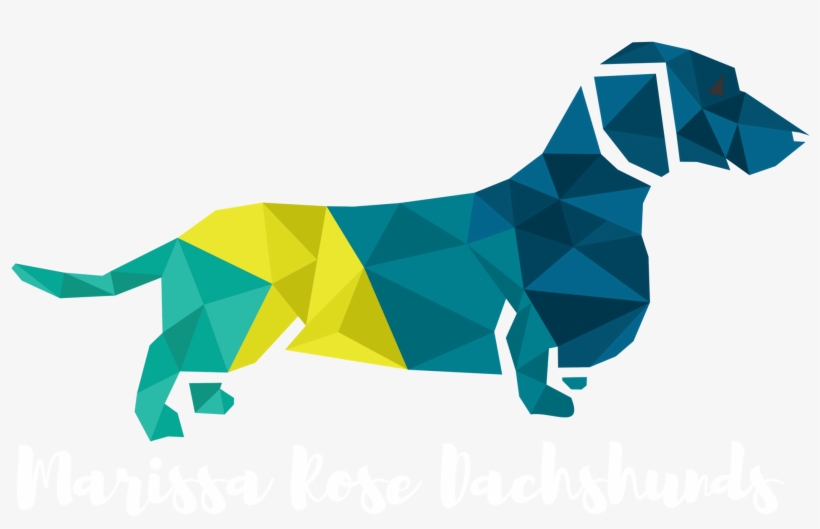 Christmas Dachshund Clipart - Dachsund Dog Logo Png Transparent, transparent png download