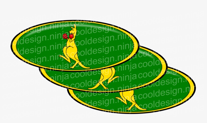 Boxing Kangaroo Flag, transparent png download