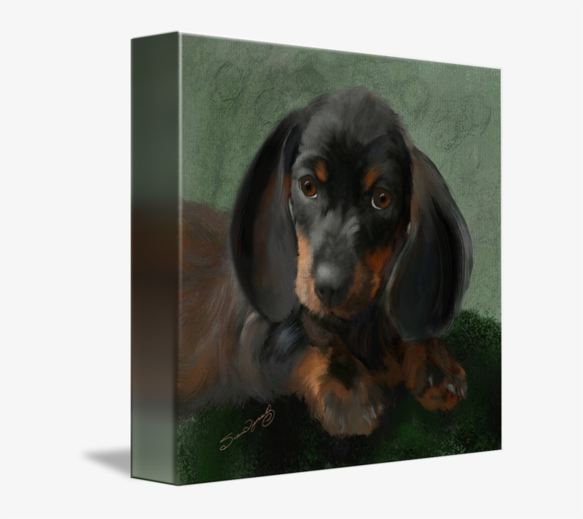 Dachshund By Susan Lipschutz - Dachshund, transparent png download