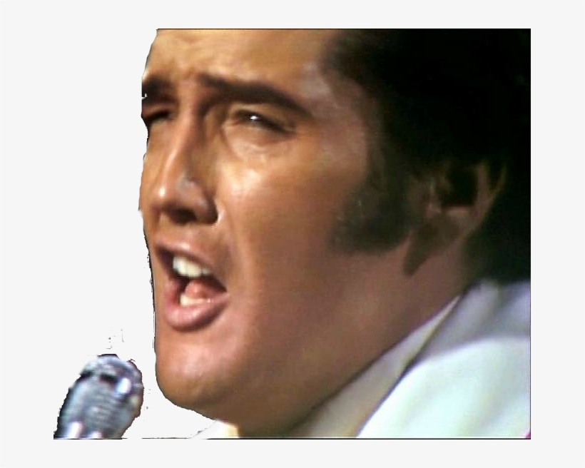 Human, transparent png download