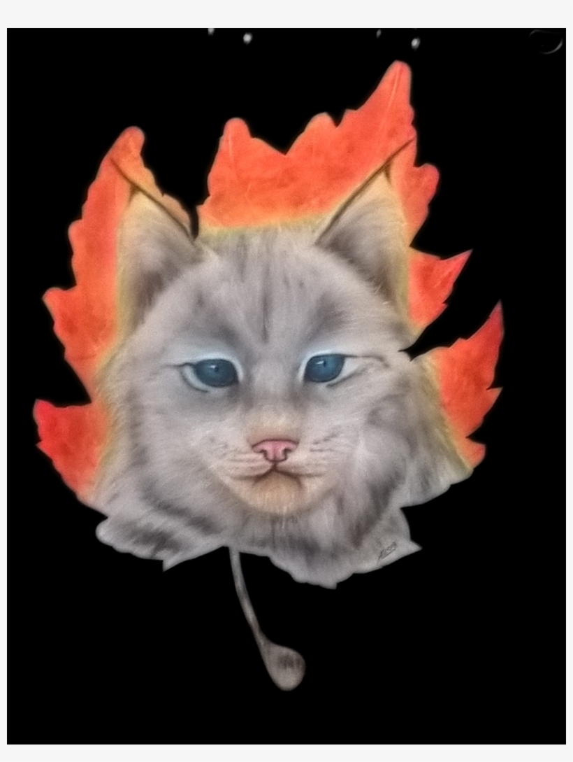 Kitten, transparent png download