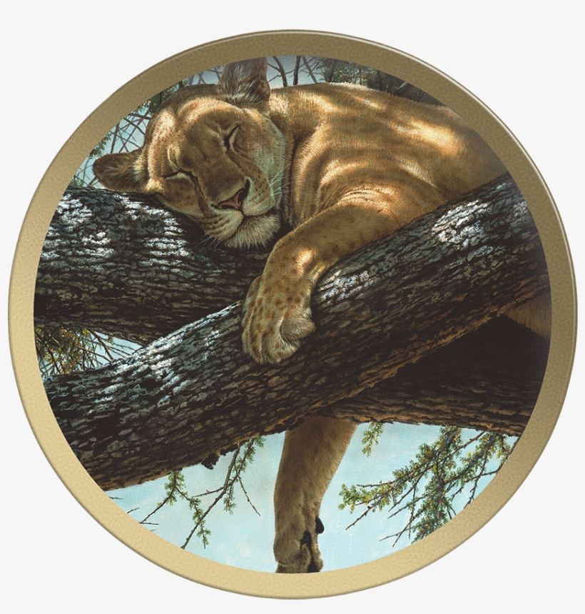 Lake Manyara Lioness - Artist, transparent png download