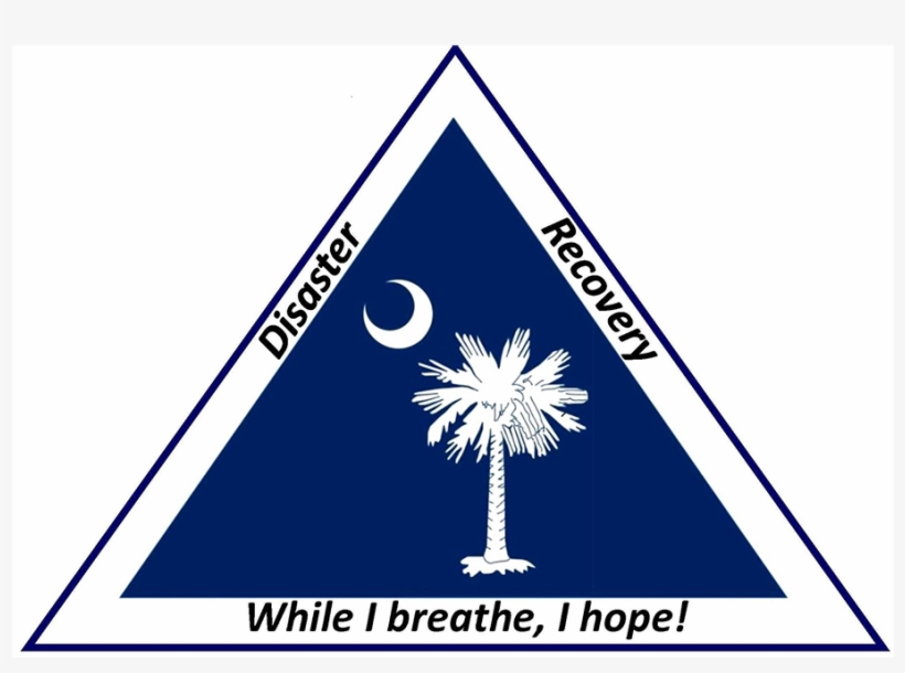 The South Carolina Disaster Recovery Office Provides - South Carolina State Flag, transparent png download