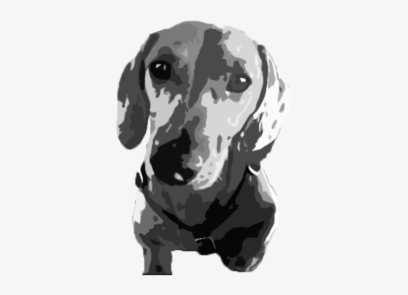 Warhol Jenkins - Dachshund, transparent png download