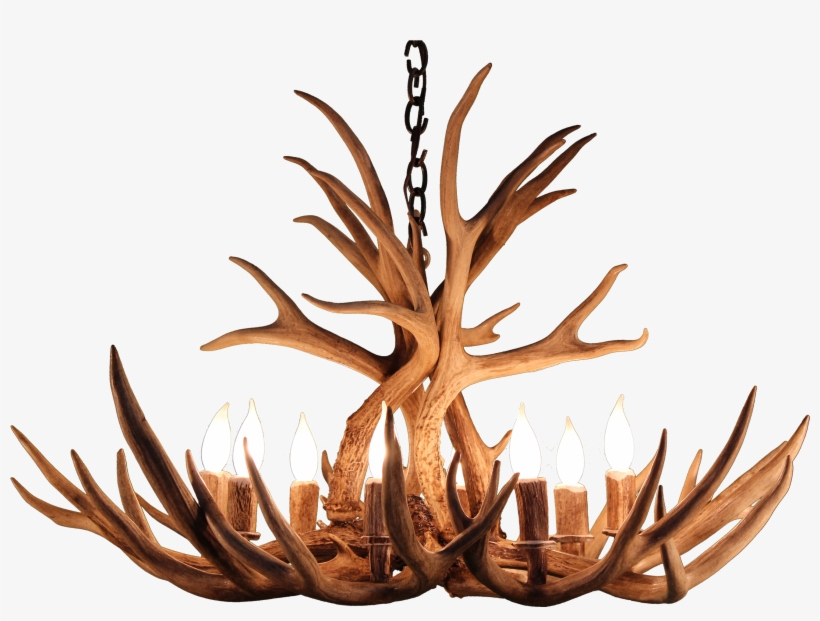 Wood, transparent png download