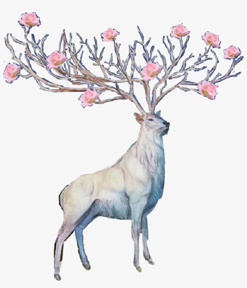 Flower Sticker - Deer Transparent Flower, transparent png download