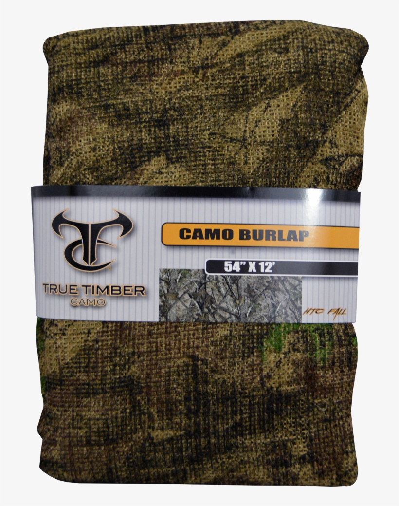 Moss, transparent png download