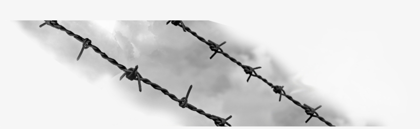1420 X 370 6 - Barbed Wire, transparent png download