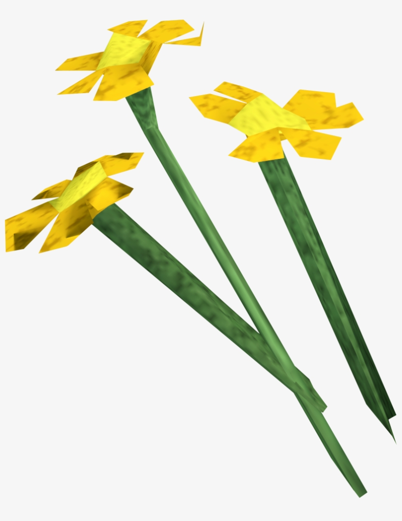Orange Flowers Are Harvested After Planting Mithril - Narcissus, transparent png download
