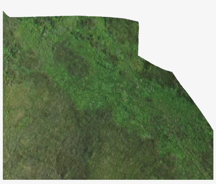 Kml Href, E0110 - Grass, transparent png download