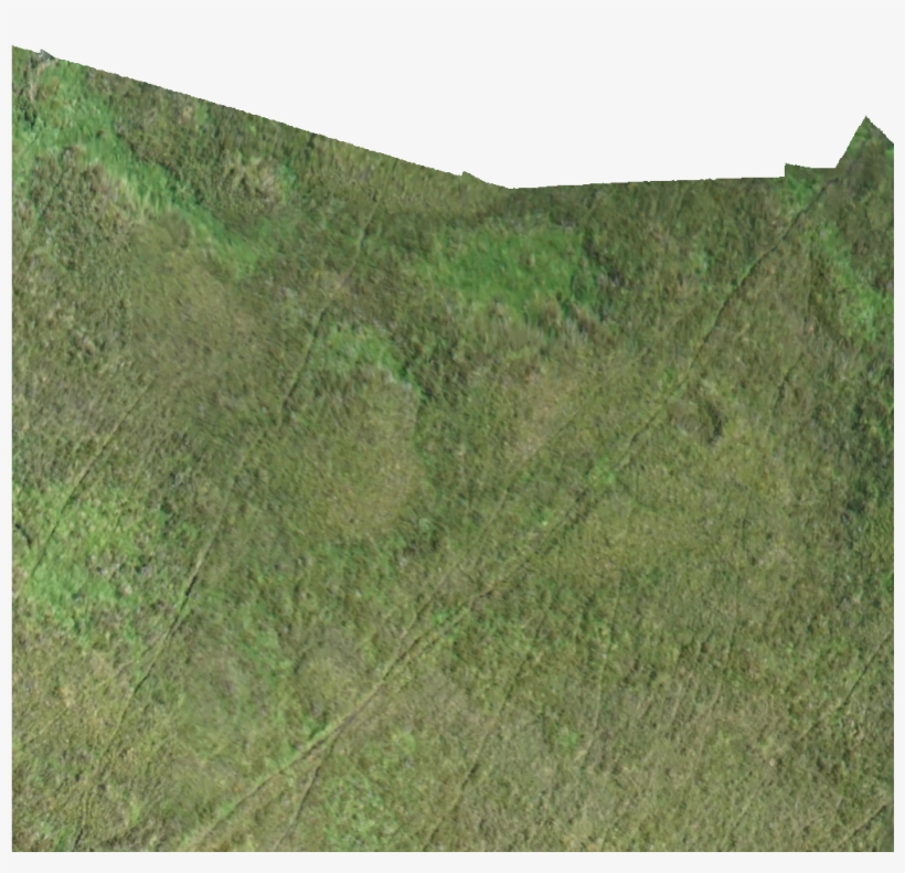 Kml Href, E0101 - Grass, transparent png download