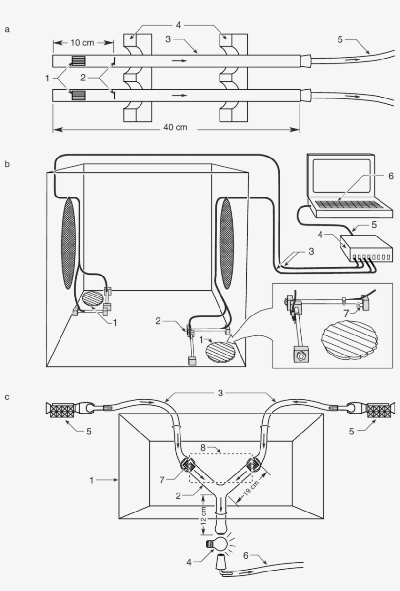 Set Up For Experiments 1 - Line Art, transparent png download