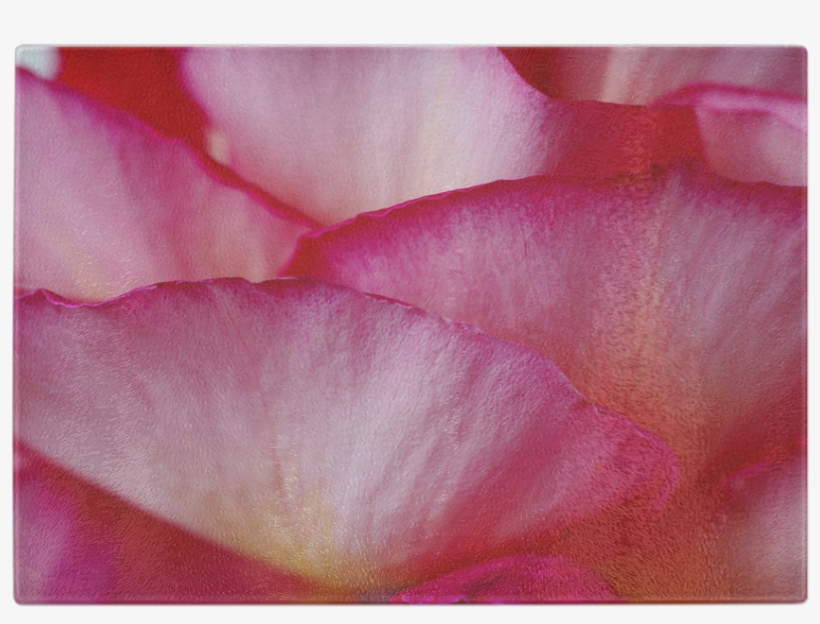 Pink Petals Glass Cutting Board - Japanese Camellia, transparent png download