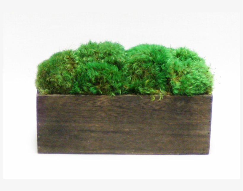 - Wooden Rect Short Container Brown Stain - Grass, transparent png download