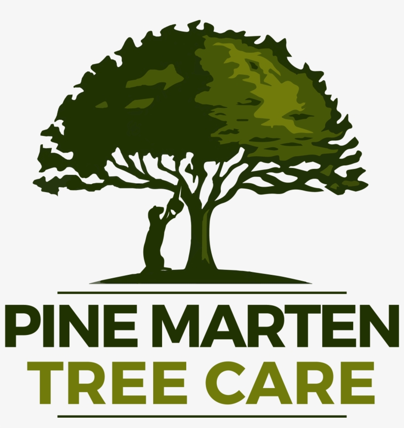 Contact Us For A Free Estimate - Illustration, transparent png download