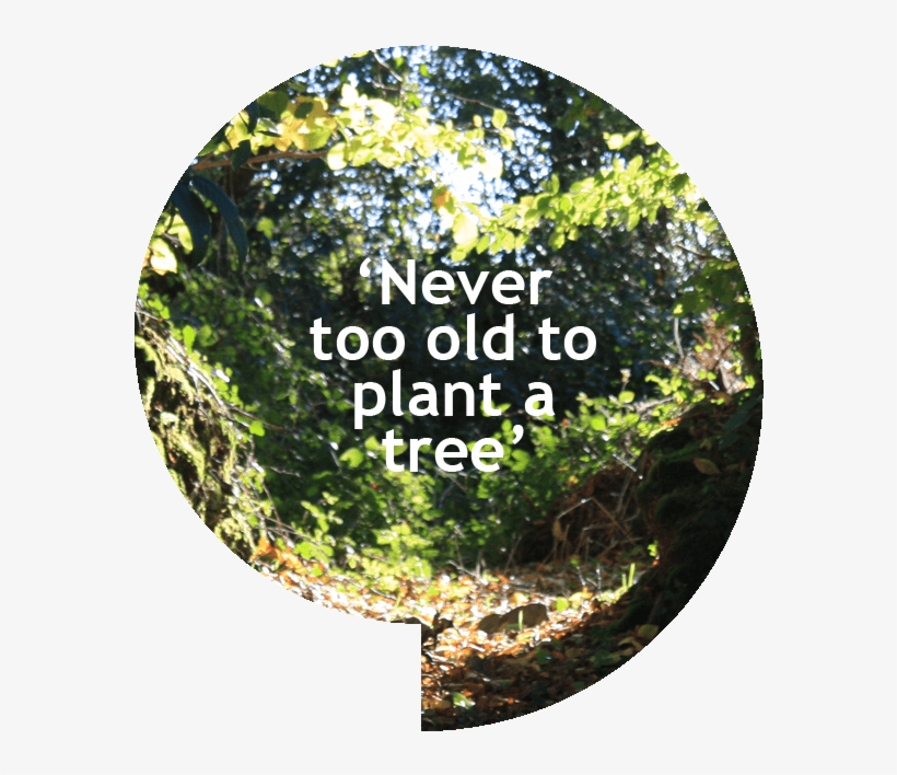 Never Too Old To Plant A Tree - Label, transparent png download
