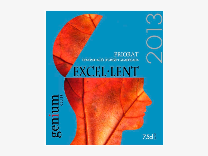 Etiqueta Excellet 2013 Frontal - Poster, transparent png download