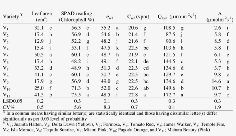Response Of Bougainvillea Cultivars On Some Morpho-physiological - Produtos Que O Brasil Importa, transparent png download