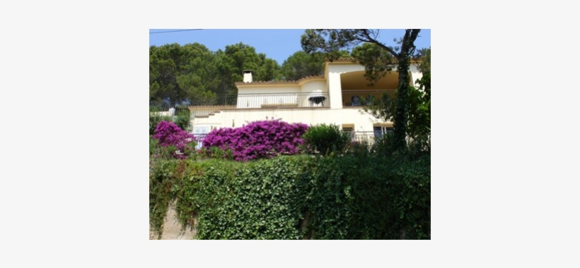 Detached 4 Bedroom, 4 Bathroom Villa With Pool - Yard, transparent png download