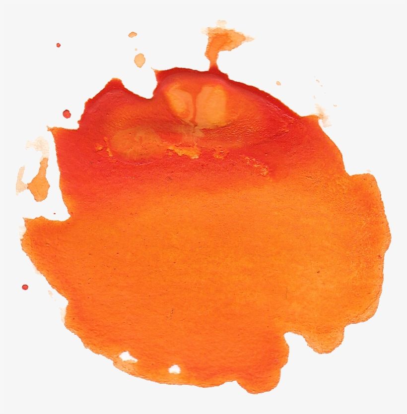 Free Download - Still Life, transparent png download