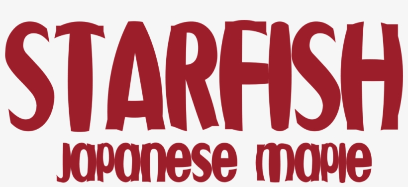 Image Of Acer Starfish - Poster, transparent png download