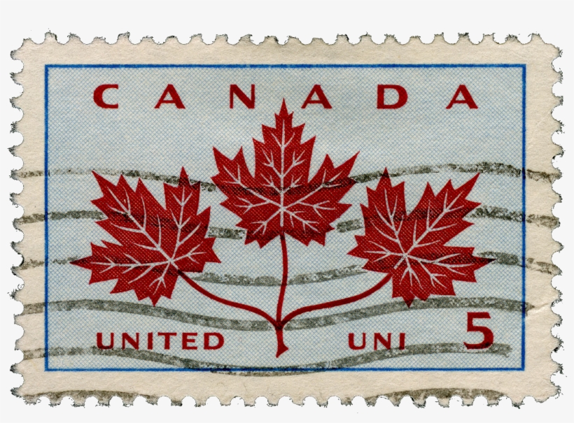Triple Maple Leaf Canada, transparent png download