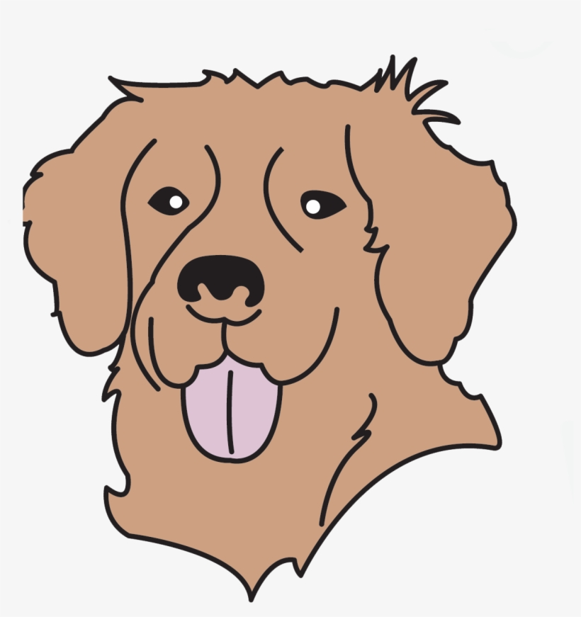 Paws4people Has Approximately 150 Dogs In-training - Companion Dog, transparent png download