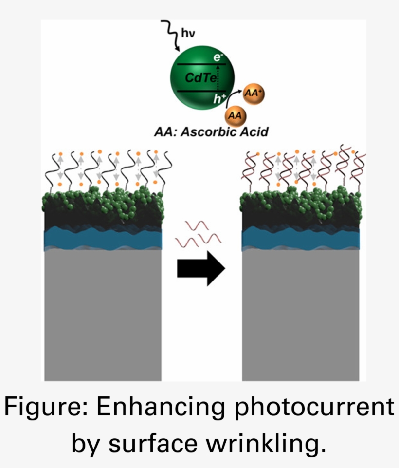To Have Your Paper Featured, Please Submit All Papers - Graphic Design, transparent png download