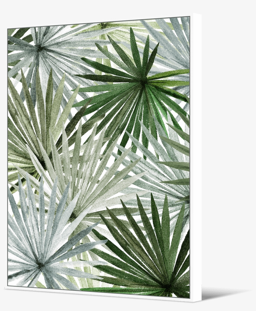 Palm Fronds - Sabal Minor, transparent png download