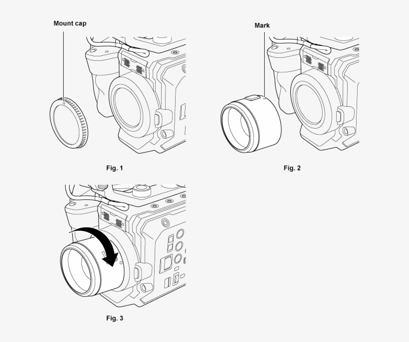 650 X 614 2 - Sketch, transparent png download