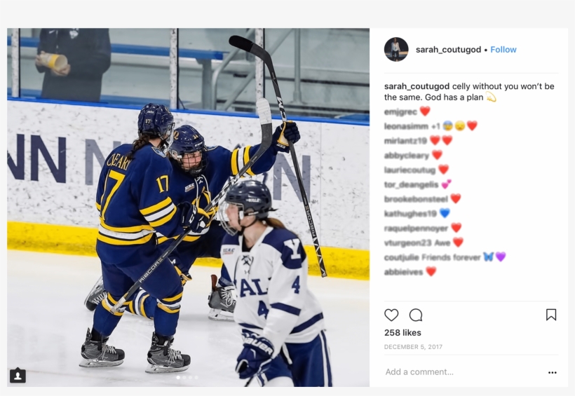 Cleary Had Five Points This Season, And Had Played - College Ice Hockey, transparent png download