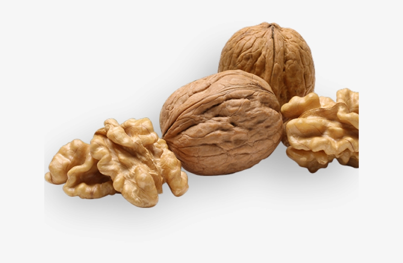 Walnut Png Transparent Images - Walnut, transparent png download