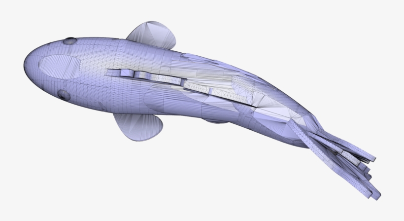 Koi - Humpback Whale, transparent png download