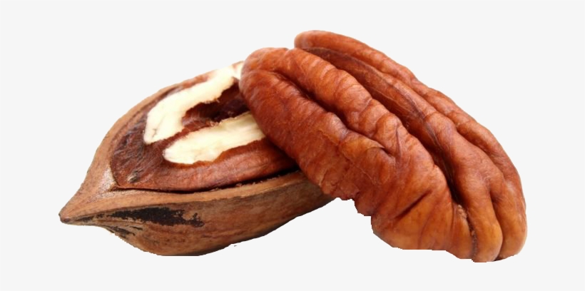 Pecan Dry Fruit, transparent png download